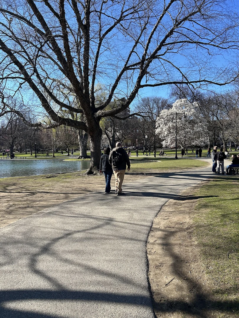 People walking in a park